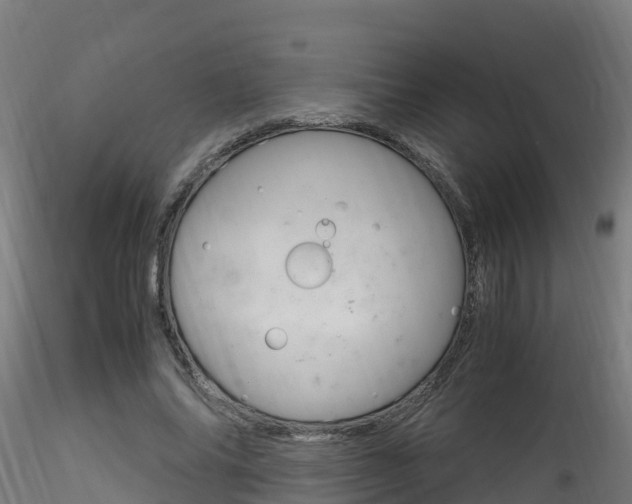 X0000116260686200911300953