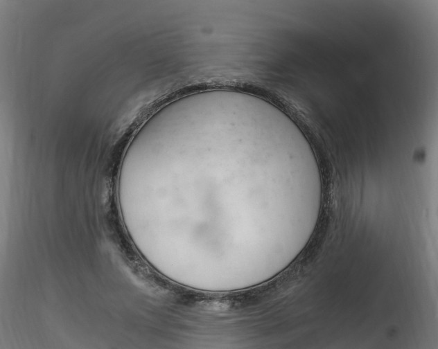 X0000116260687200911300953