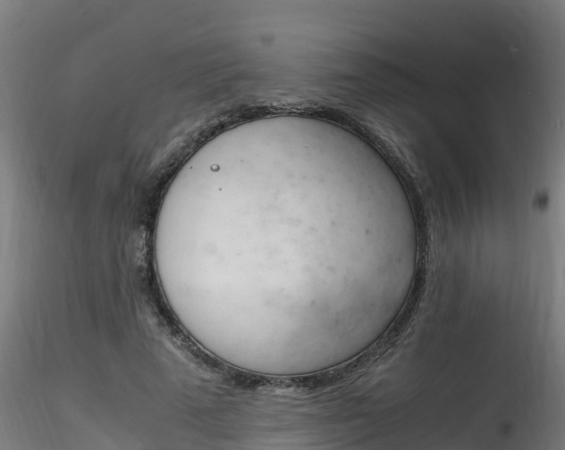 X0000116260689200911300953
