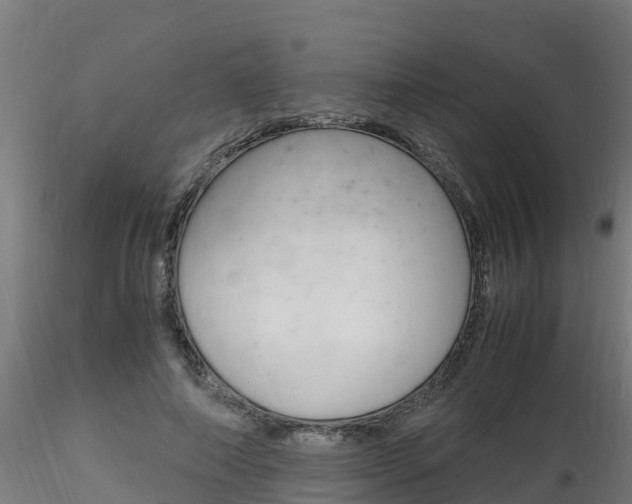 X0000116260690200911300953