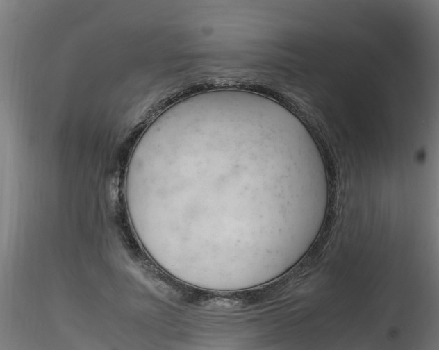X0000116260691200911300953
