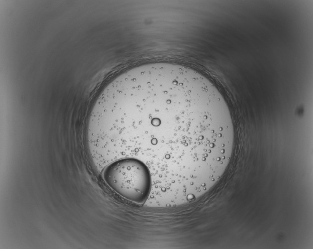 X0000116260693200911300953