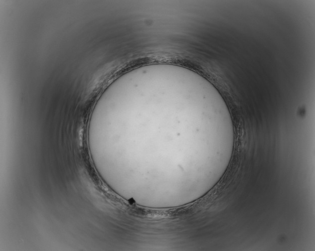 X0000116260694200911300953