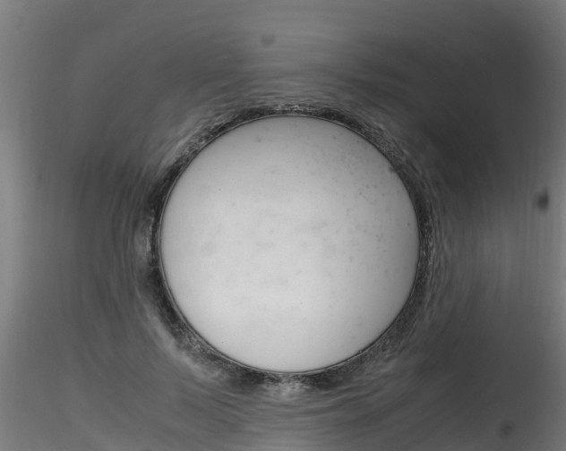 X0000116260695200911300953