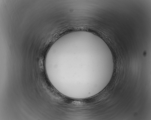 X0000116260699200911300953