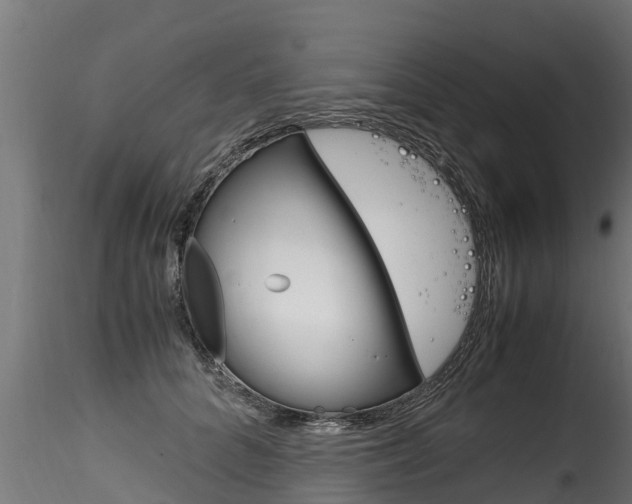 X0000116260704200911300952