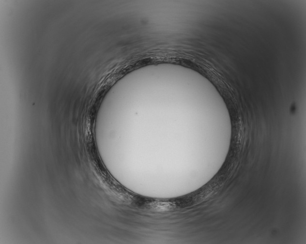 X0000116260711200911300952
