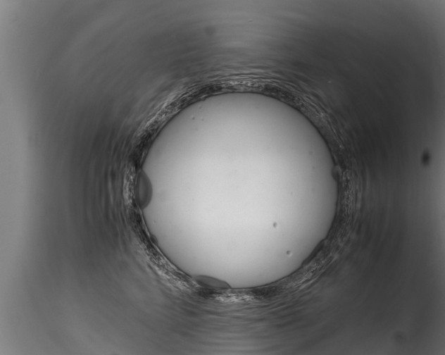 X0000116260712200911300952