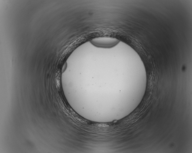 X0000116260719200911300952