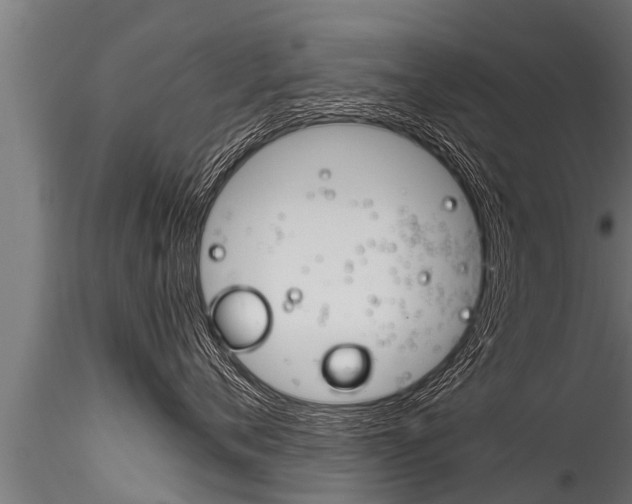 X0000116260720200911300952