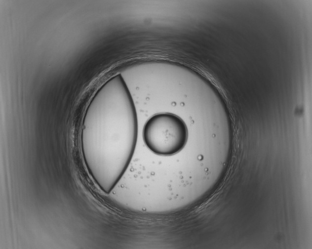 X0000116260722200911300952