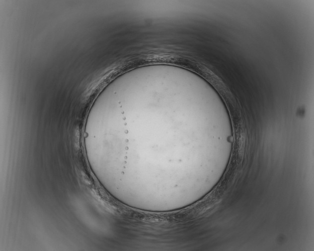 X0000116260729200911300952