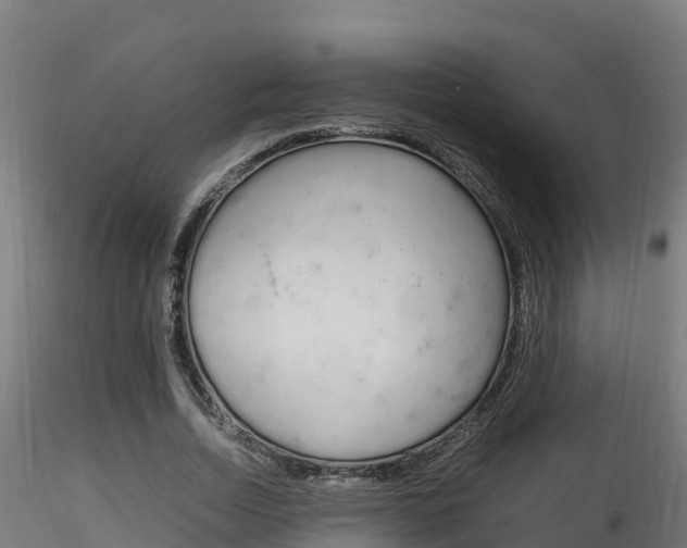 X0000116260730200911300952