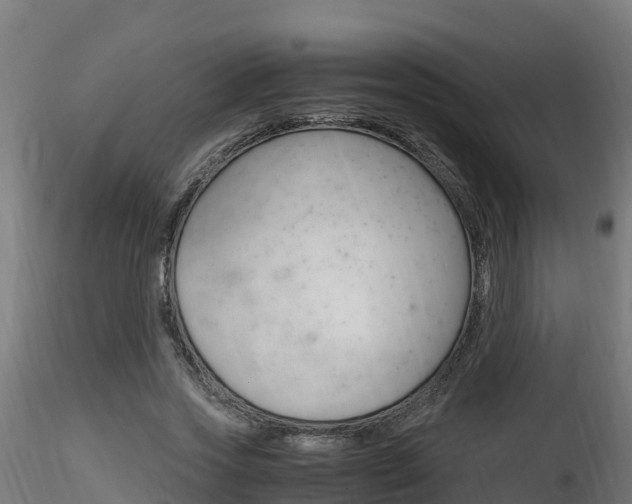 X0000116260733200911300952