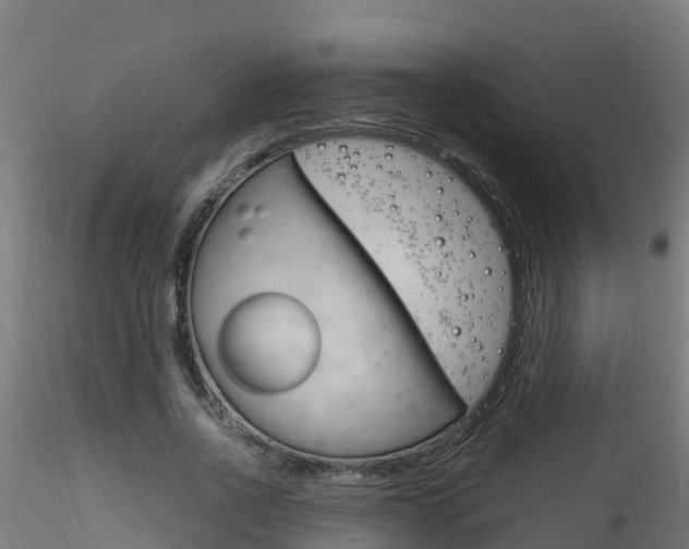 X0000116260734200911300952