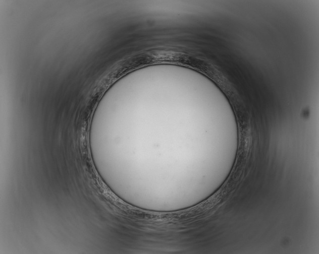 X0000116260737200911300952