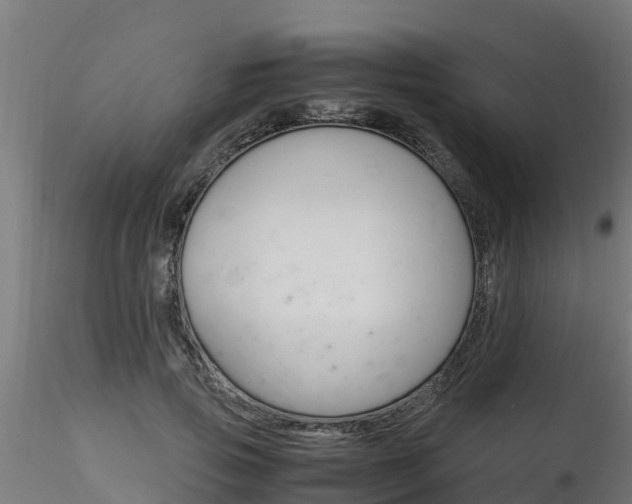 X0000116260741200911300952