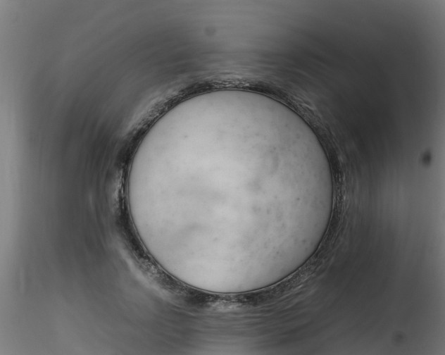 X0000116260742200911300952