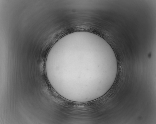 X0000116260745200911300952