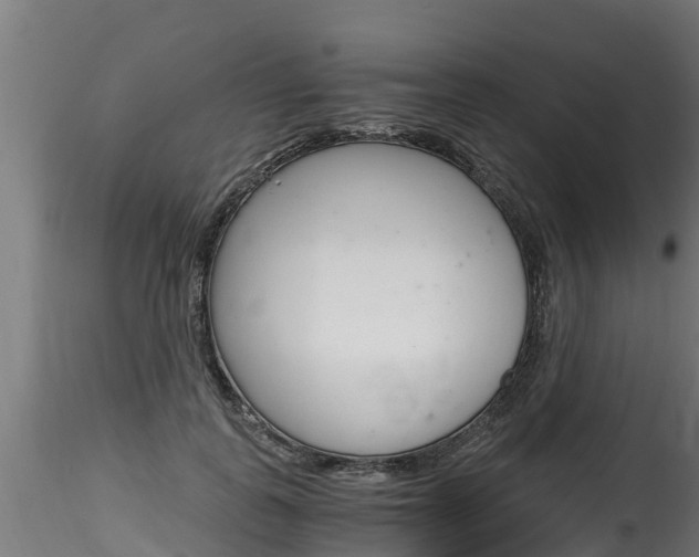 X0000116260747200911300952