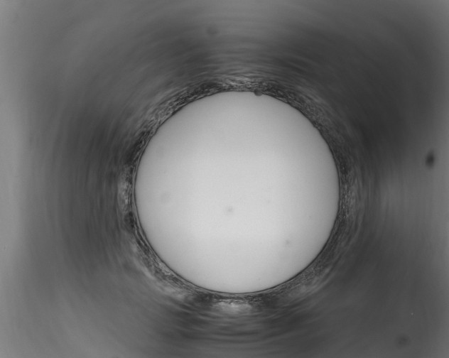 X0000116260749200911300952