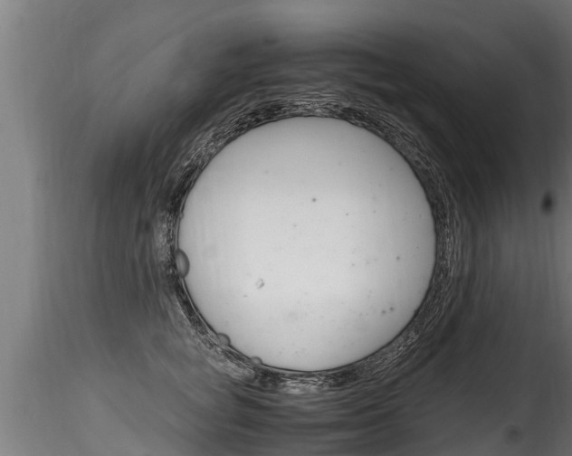X0000116260757200911300952