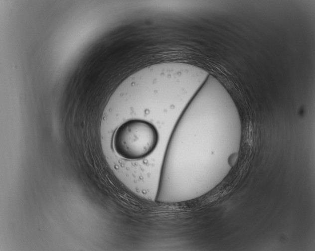 X0000116260763200911300952