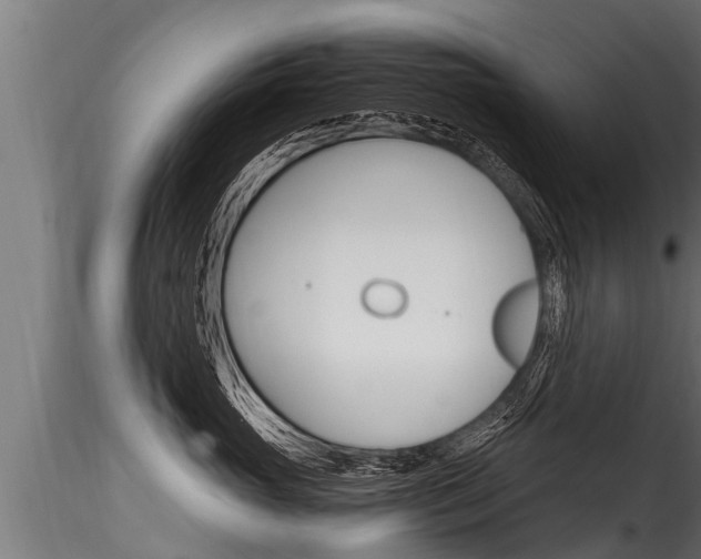 X0000116260765200911300952