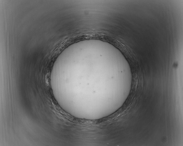 X0000116260770200911300952