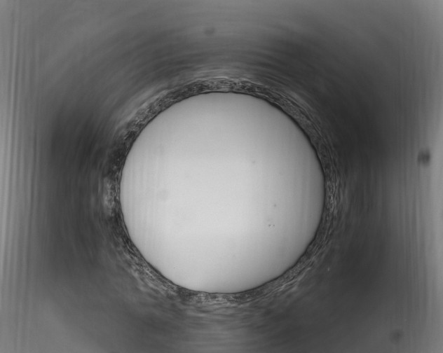 X0000116260774200911300952