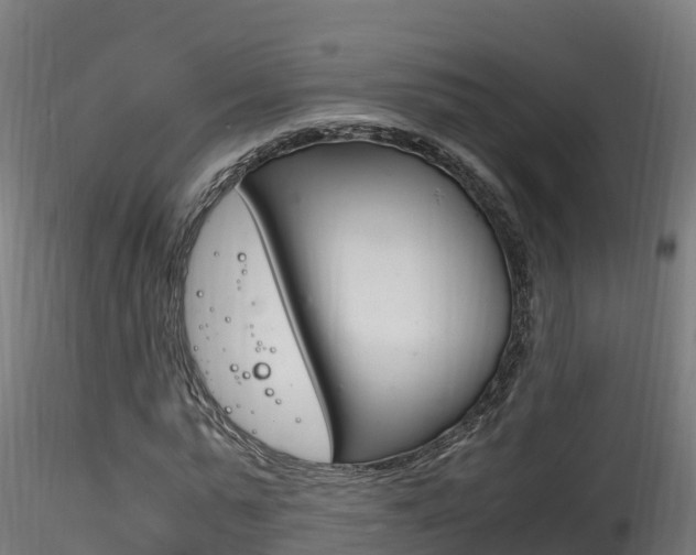 X0000116260775200911300952