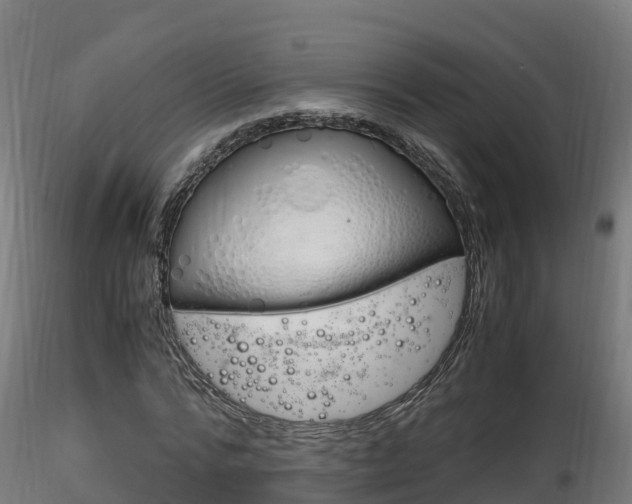 X0000116260776200911300951
