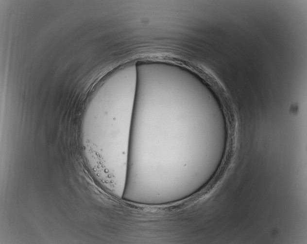 X0000116260777200911300951