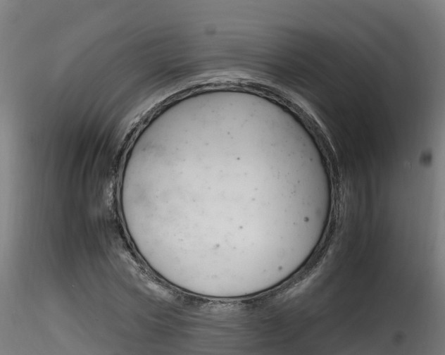 X0000116260778200911300951