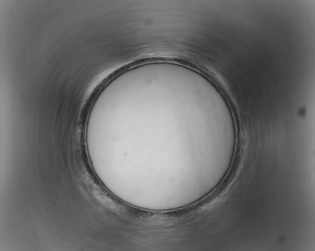 X0000116260779200911300951