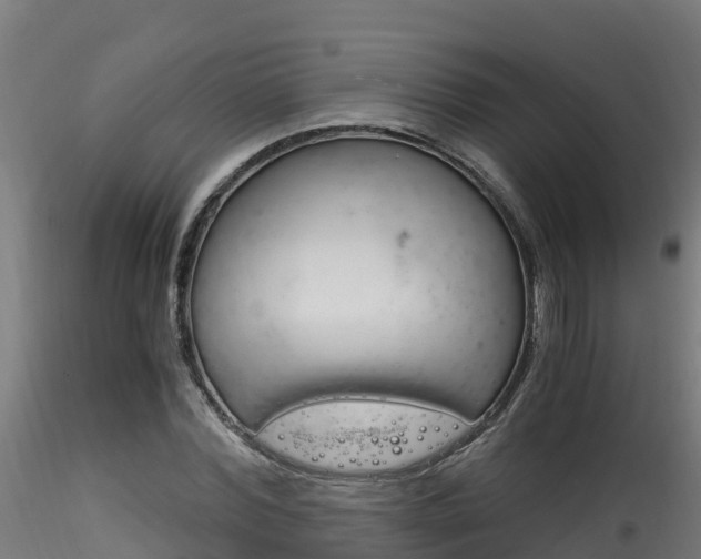 X0000116260780200911300951