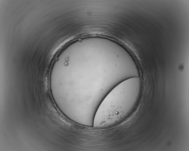 X0000116260782200911300951