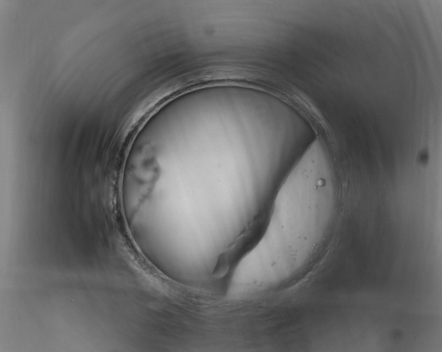 X0000116260786200911300951