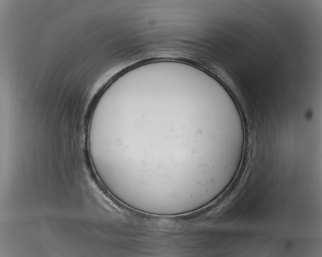X0000116260787200911300951