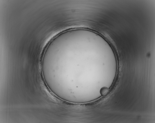 X0000116260789200911300951