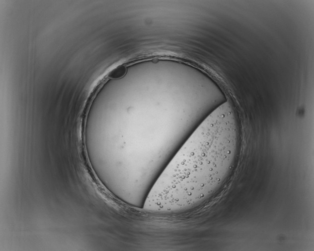 X0000116260790200911300951