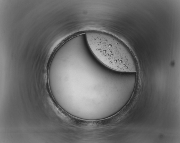 X0000116260791200911300951