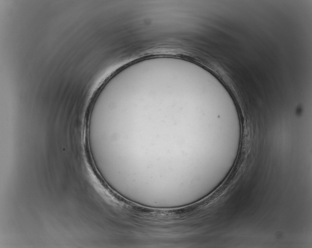 X0000116260795200911300951