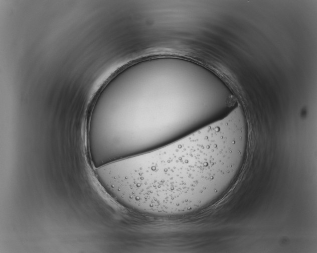 X0000116260796200911300951