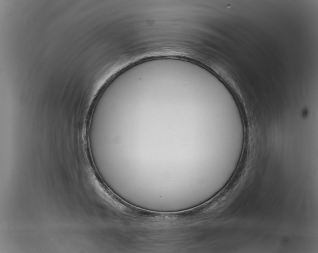 X0000116260797200911300951