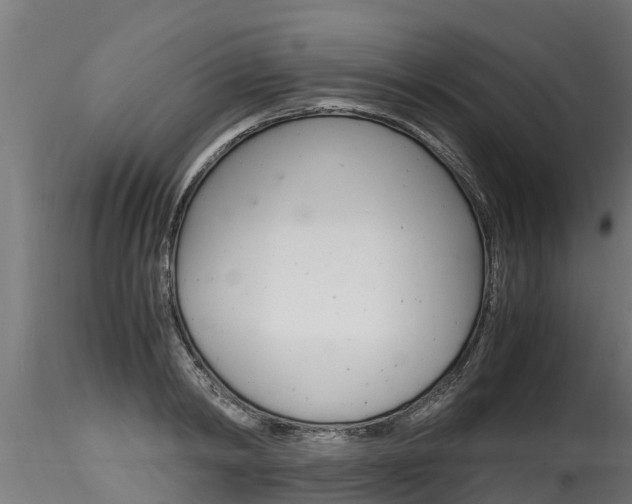 X0000116260798200911300951