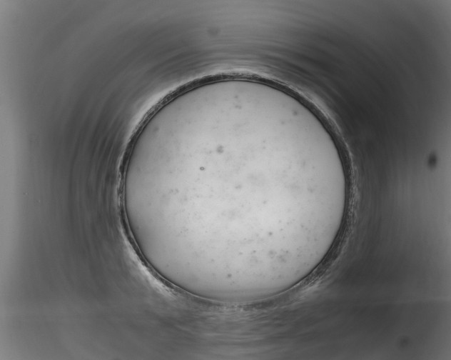 X0000116260799200911300951