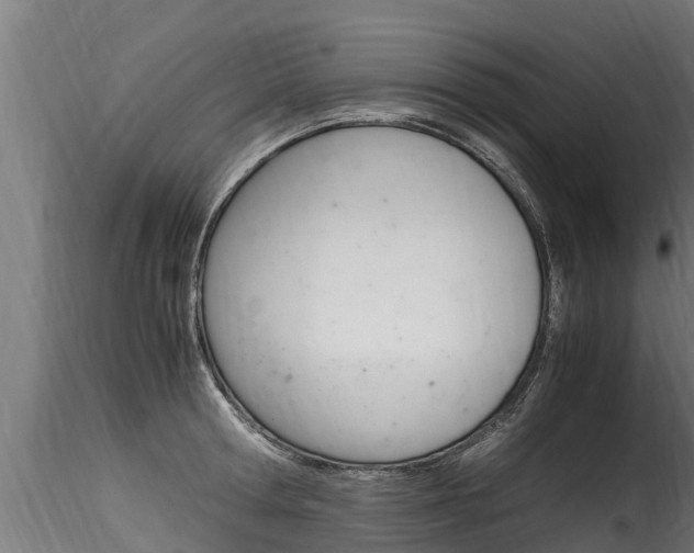 X0000116260802200911300951
