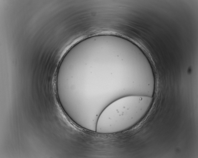 X0000116260806200911300951