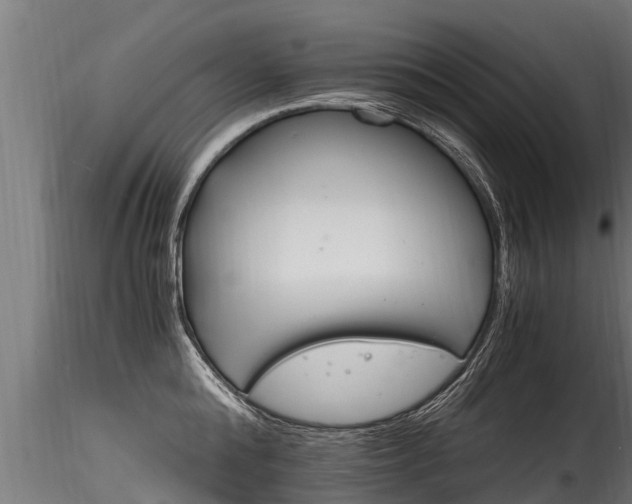X0000116260808200911300951